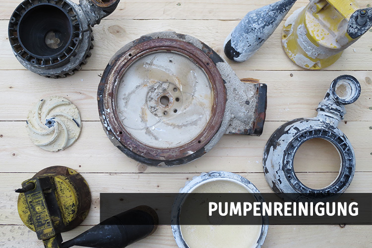 Pumpenreingung